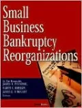 Small Business Bankruptcy Reorganization