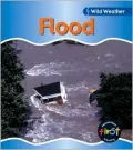 Flood