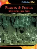 Plants and Fungi: Multicelled Life