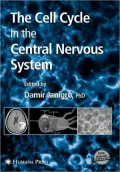 The Cell Cycle In The Central Nervous System
