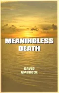 Meaningless Death