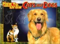 How to Draw Cats and Dogs