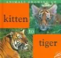 Kitten to Tiger