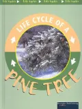 Pine Tree