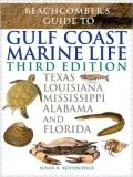 Beachcomber's Guide To Gulf Coast Marine Life