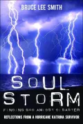 Soul Storm: Finding God amidst Disaster