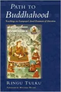 Path to Buddhahood: Teachings on Gampopa's JEWEL ORNAMENT OF LIBERATION