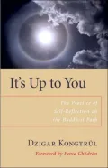 It's up to You: The Practice of Self-Reflection on the Buddhist Path