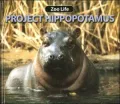 Project Hippopotamus
