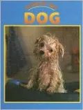 Caring for Your Dog
