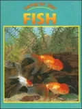 Caring for Your Fish