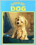 Caring For Your Dog
