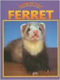 Caring for Your Ferret