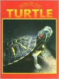 Caring for Your Turtle