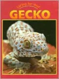 Caring for Your Gecko