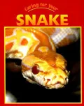 Snake