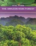 The Amazon Rain Forest: The Largest Rain Forest In The World