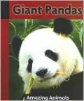 Giant Pandas