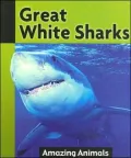 Great White Sharks