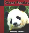 Giant Pandas