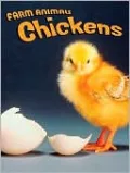 Chickens