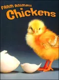 Chickens