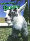 Goats