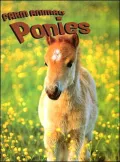 Ponies
