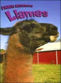 Llamas