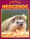 Caring for Your Hedgehog