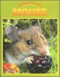 Caring for Your Mouse