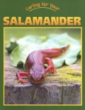 Caring for Your Salamander