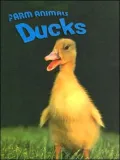 Ducks