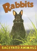 Rabbits