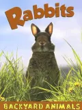 Rabbits
