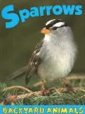Sparrows