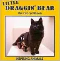 Little Draggin' Bear