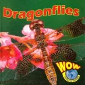 Dragonflies