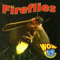 Fireflies