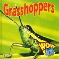 Grasshoppers