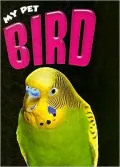 Bird: My Pet