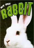 Rabbit: My Pet