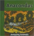 Anacondas