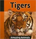 Tigers