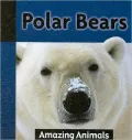 Polar Bears