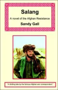 Salang: A Novel of the Afghan Resistance