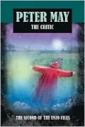 The Critic (Enzo Files Series #2)
