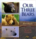Our Three Bears