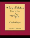 A Fury of Motion: Poems for Boys