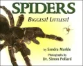 Spiders: Biggest! Littlest!